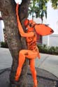 IMG_0086