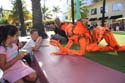 IMG_0276